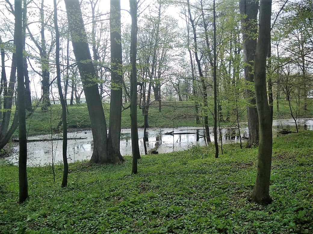 Park przy Dworze w Korzeniowie